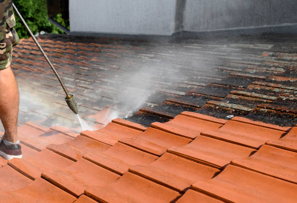 Best Power Washing Near Me  in Kewanee, IL