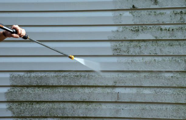 Best Pressure Washing Patio  in Kewanee, IL